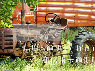 信用卡逾期會(huì)控壓名下的車嗎-車貸和信用卡逾期哪個(gè)嚴(yán)重