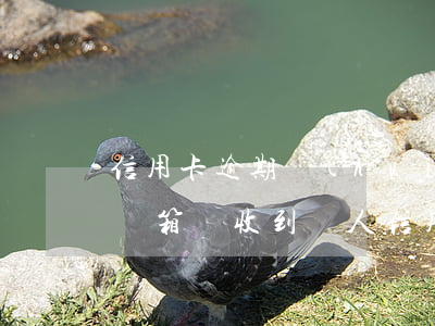 信用卡逾期會(huì)收到什么郵件(qq郵箱總收到別人信用卡逾期)