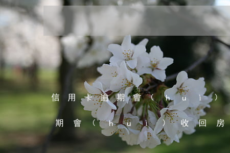 信用卡逾期會(huì)收回房子(信用卡逾期會(huì)收回房子嘛)