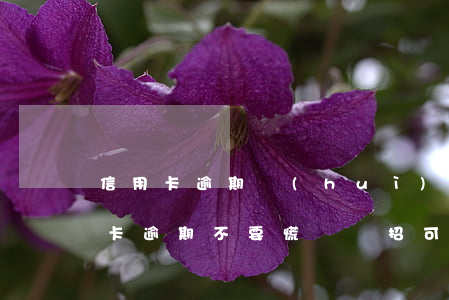 信用卡逾期會(huì)最佳解決辦法(信用卡逾期?不要慌,這幾招可以補(bǔ)救!)