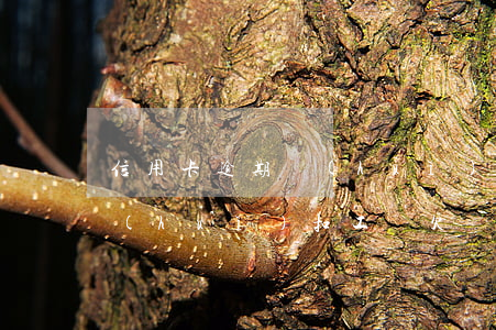信用卡逾期會(huì)會(huì)不會(huì)扣工資(欠銀行信用卡工資卡會(huì)被扣嗎)