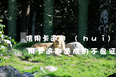 信用卡逾期會(huì)有不良征信嗎(因信用卡逾期造成的不良征信是否可以消除)