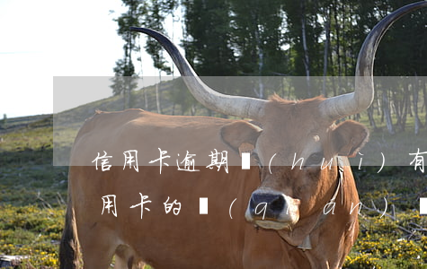 信用卡逾期會(huì)有人催債嗎-欠信用卡的錢(qián)會(huì)不會(huì)去家里催賬