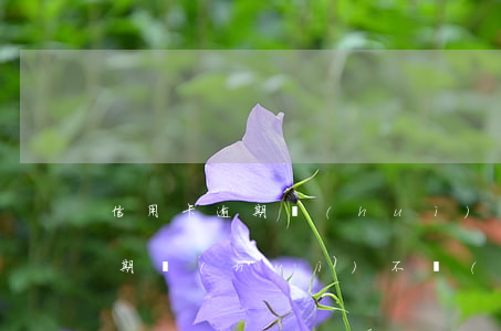 信用卡逾期會(huì)有人私加(信用卡逾期會(huì)不會(huì)影響其它信用卡)