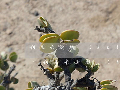 信用卡逾期會(huì)有什么樣的影響嗎-信用卡逾期會(huì)有什么樣的影響嗎知乎