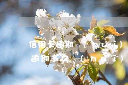信用卡逾期會(huì)有哪些階段(信用卡逾期多久會(huì)影響征信)