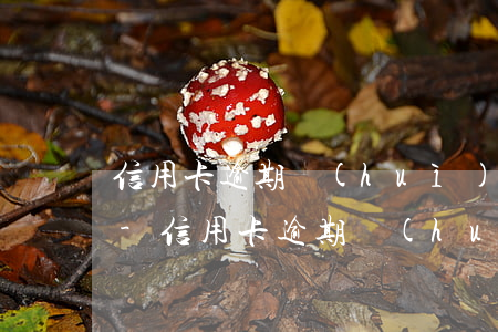 信用卡逾期會(huì)有外訪人員上門嘛-信用卡逾期會(huì)有外訪人員上門嘛