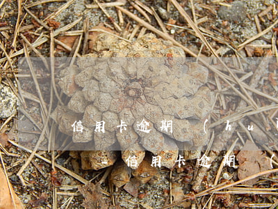 信用卡逾期會(huì)有律師給你打電話嗎-信用卡逾期會(huì)有律師給你打電話嗎是真的嗎