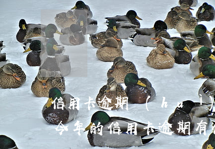 信用卡逾期會(huì)有怎么的法律后果(今年的信用卡逾期有什么處理)