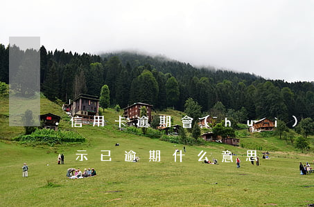 信用卡逾期會(huì)有提示嗎(信用卡提示已逾期什么意思)