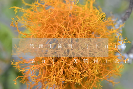 信用卡逾期會(huì)有派出所上門(mén)嗎(欠信用卡派出所會(huì)上門(mén)嗎)