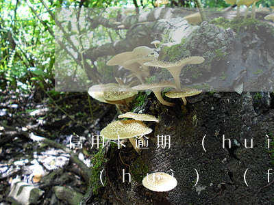 信用卡逾期會(huì)有短信提醒嗎(逾期會(huì)發(fā)信息提醒嗎)