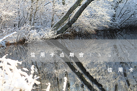 信用卡逾期會(huì)有警告短信嗎(短信說(shuō)信用卡逾期要起訴了是真的嗎)
