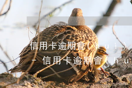信用卡逾期會(huì)查家人電話騷擾嗎-信用卡逾期會(huì)查家人電話騷擾嗎怎么辦