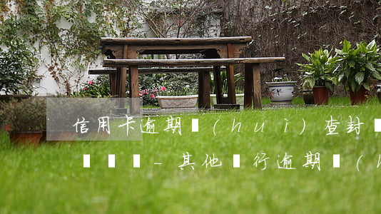 信用卡逾期會(huì)查封個(gè)人賬戶嗎-其他銀行逾期會(huì)封所有信用卡