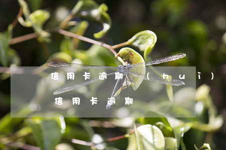 信用卡逾期會(huì)查封房子6(房貸和信用卡逾期)