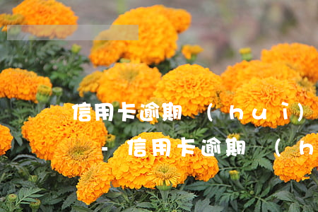 信用卡逾期會(huì)每月被拘留15天嗎-信用卡逾期會(huì)每月被拘留15天嗎知乎