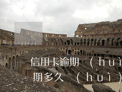 信用卡逾期會(huì)永久失信(信用卡逾期多久會(huì)變成失信人員)