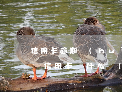 信用卡逾期會(huì)爆發(fā)短信嗎(信用卡為什么會(huì)逾期)