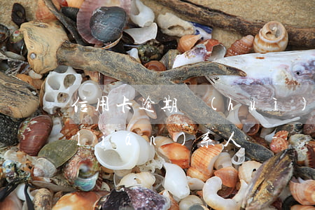 信用卡逾期會(huì)爆通訊錄所有聯(lián)系人嗎-網(wǎng)貸逾期一年屁事都沒有了