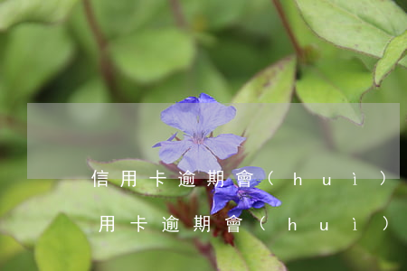 信用卡逾期會(huì)牽扯到淘寶嗎-信用卡逾期會(huì)牽扯到淘寶嗎