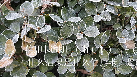 信用卡逾期會(huì)產(chǎn)生什么后果是什么(信用卡總是逾期會(huì)有什么后果)
