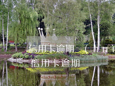 信用卡逾期會(huì)用什么快遞(什么是信用卡逾期)