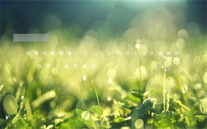 信用卡逾期會(huì)用什么方式通知你-信用卡 逾期 通知