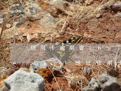 信用卡逾期會(huì)發(fā)到哪個(gè)地址(信用卡逾期會(huì)發(fā)到哪個(gè)地址)