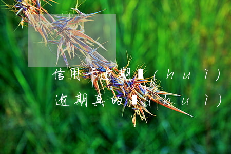 信用卡逾期會(huì)直接上門嗎(信用卡逾期真的會(huì)上門嗎)