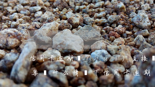 信用卡逾期會(huì)直接報(bào)案嗎(什么情況下信用卡逾期會(huì)被起訴)
