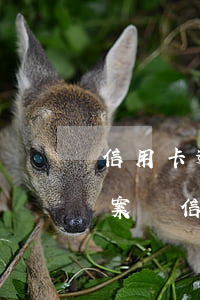 信用卡逾期會(huì)直接報(bào)案嗎(信用卡逾期會(huì)直接報(bào)案嗎)