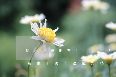 信用卡逾期會(huì)直接賣房子(信用卡逾期了房子還能賣嗎)