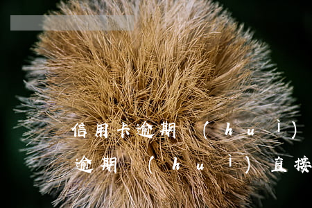 信用卡逾期會(huì)直接逮捕嘛(信用卡逾期會(huì)直接逮捕嘛)