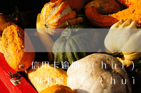 信用卡逾期會(huì)立即上征信(本月信用卡逾期了會(huì)不會(huì)上征信)