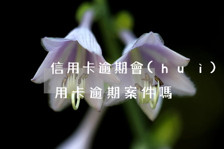 信用卡逾期會(huì)立案(公安局受理信用卡逾期案件嗎)