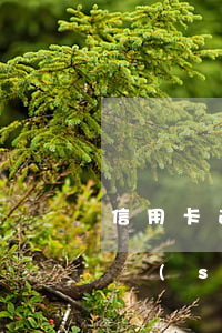 信用卡逾期會(huì)給通知么(接到電話說(shuō)信用卡逾期)