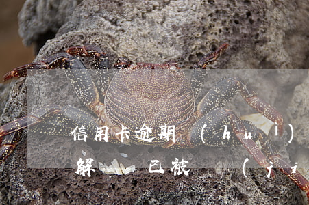 信用卡逾期會(huì)自動(dòng)解凍嗎 已被凍結(jié)的信用卡能解凍嗎