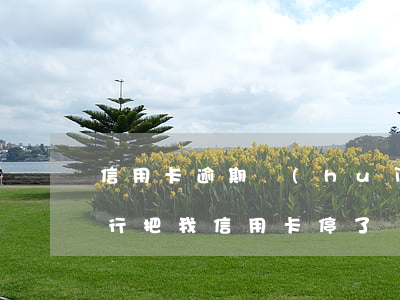 信用卡逾期會(huì)被?？▎?沒逾期銀行把我信用卡停了)