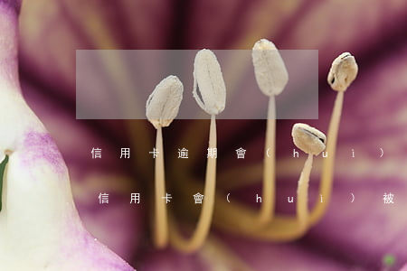 信用卡逾期會(huì)被停用 貸款有逾期信用卡會(huì)被停嗎