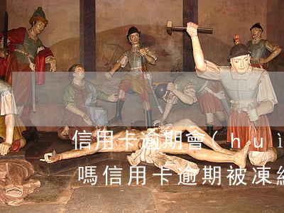 信用卡逾期會(huì)被凍結(jié)嗎(信用卡逾期被凍結(jié)了嚴(yán)重嗎)