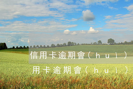 信用卡逾期會(huì)被判刑嗎知乎(欠信用卡逾期會(huì)被拘留嗎)