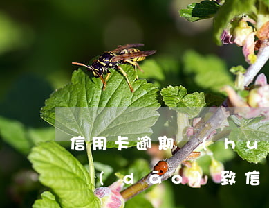 信用卡逾期會(huì)被告詐騙嗎 被詐騙導(dǎo)致信用卡逾期