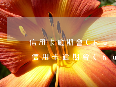 信用卡逾期會(huì)被征信記錄幾年-信用卡逾期會(huì)被征信記錄幾年