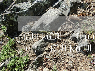 信用卡逾期會(huì)被微信凍結(jié)嗎(信用卡逾期會(huì)被微信凍結(jié)嗎)