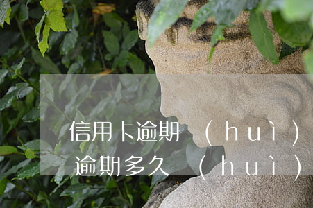 信用卡逾期會(huì)被抓起來嗎(信用卡逾期多久會(huì)抓起來)