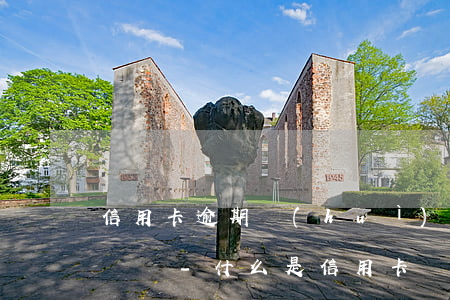 信用卡逾期會(huì)被標(biāo)記嗎-什么是信用卡惡意逾期