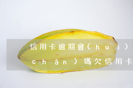 信用卡逾期會(huì)被法院查封房產(chǎn)嗎(欠信用卡會(huì)查封房子嗎?沒(méi)辦房產(chǎn)證)