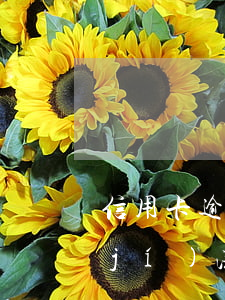 信用卡逾期會(huì)被起訴到哪一級(jí)法院-信用卡逾期會(huì)被起訴到哪一級(jí)法院
