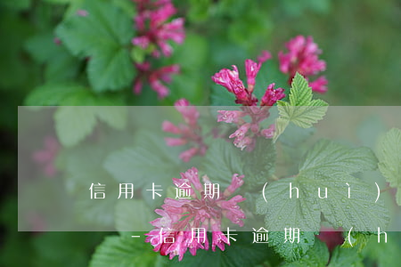 信用卡逾期會(huì)被起訴嗎法院受理嗎-信用卡逾期會(huì)被起訴嗎法院受理嗎怎么辦